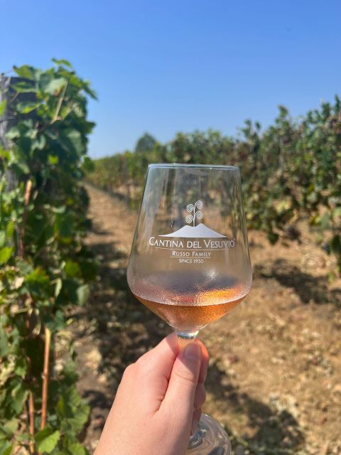 Ruins,Finds and Tastings:A Tour Between History and Flavours - Discover Vesuvius National Park