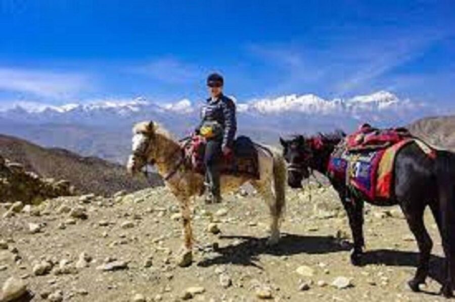Saddle Up for a 1-Hour Horseback Riding Adventure in Pokhara