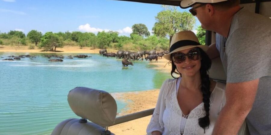 Safari Adventure:Udawalawe National Park Half-Day Expedition