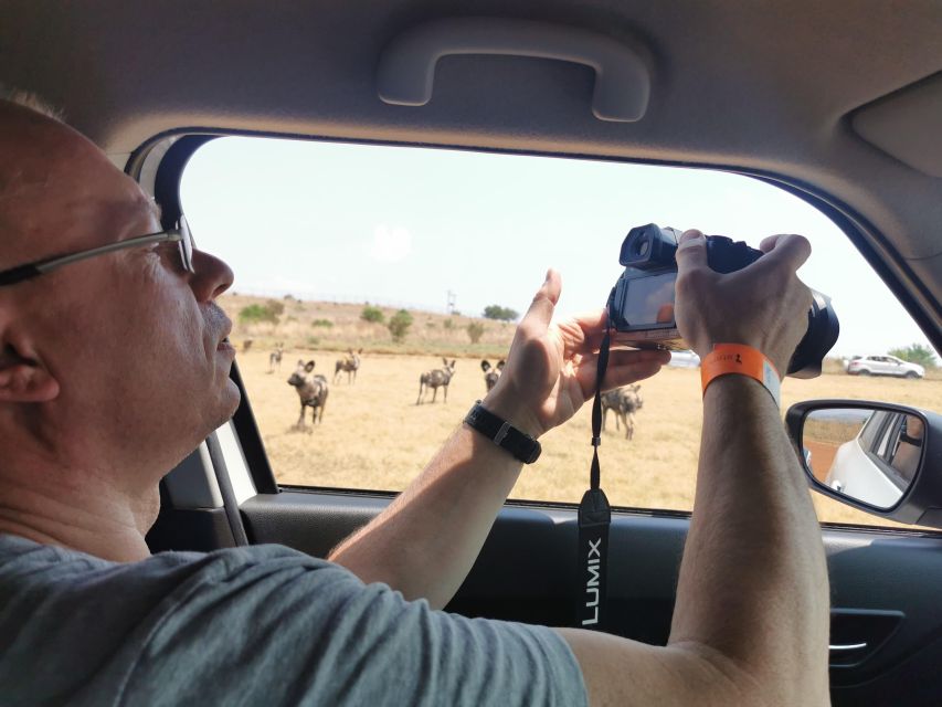 Safari at Lion and Rhino Park / Lesedi Culture Village