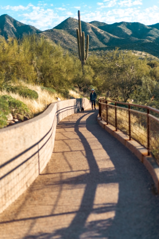 Saguaro National Park: Day Tour & Hike