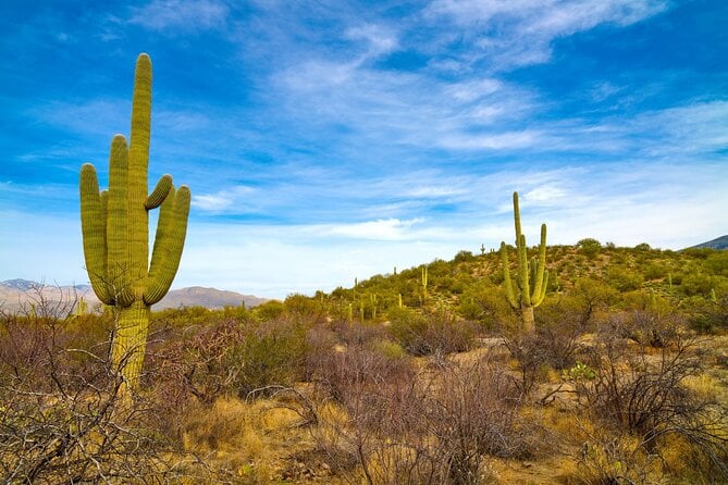 4 Best National Park Tours In Tucson