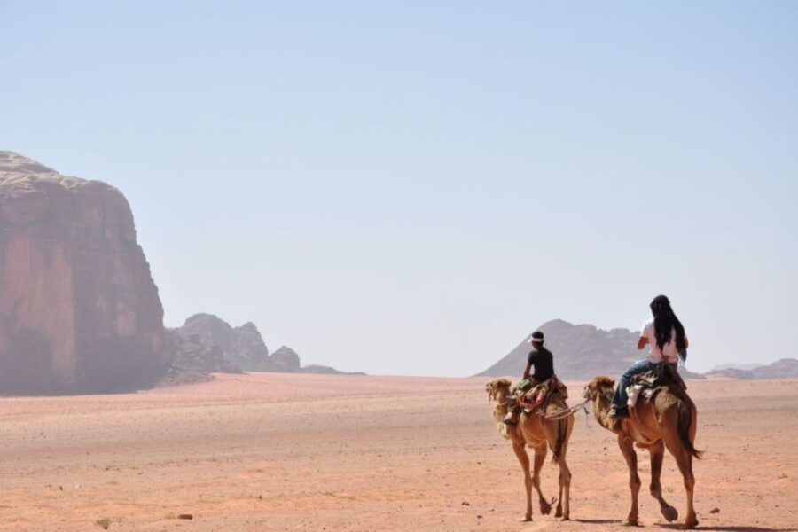 Sahl Hasheesh: Quad, Jeep, Buggy, Camel W/ Dinner & Show