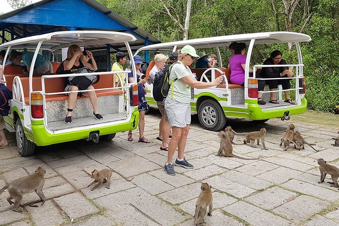 Saigon River Tour to Can Gio Mangrove Forest by Speed Boat