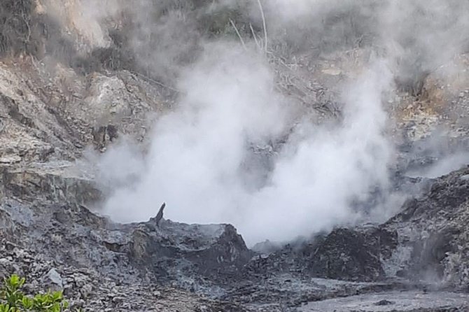 Saint Lucia Sulphur Springs Rejuvenating Mud Bath Tour