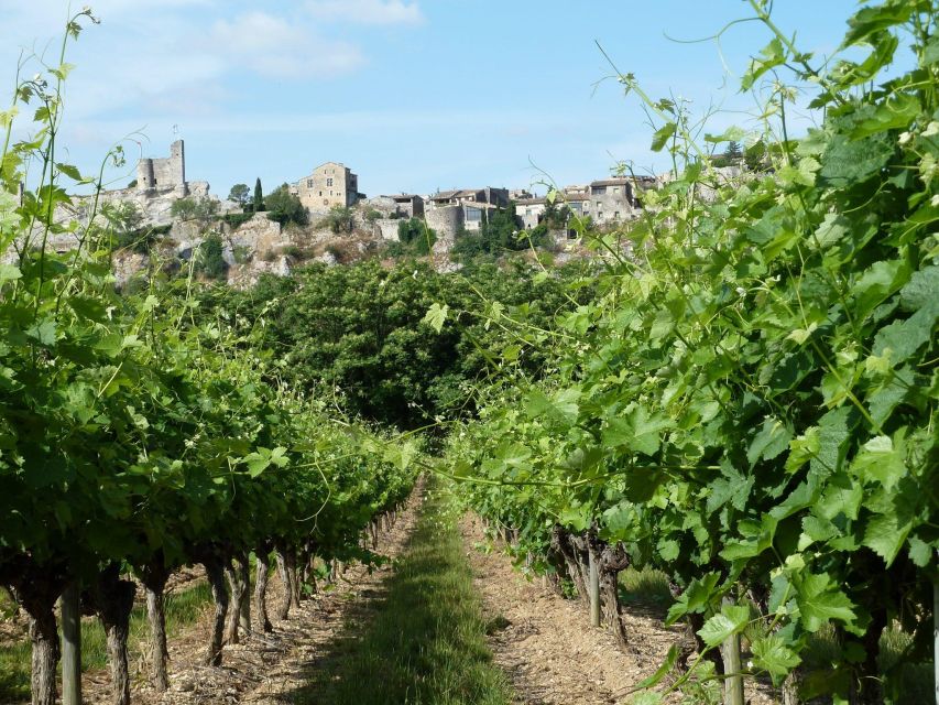 Saint-Martin-d'Ardèche: Electric Bike Wine Tour & Tasting