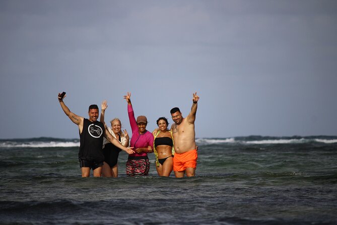 Sal Island, Salinas, Buracona and Lemon Shark - Tour Overview