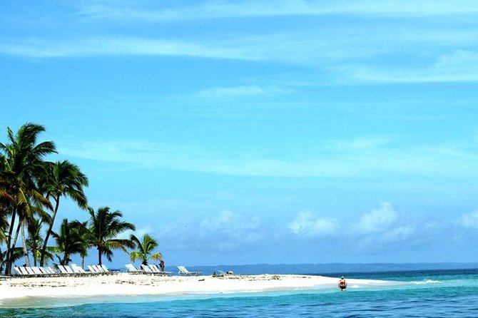 Samana Experience Day Trip - Overview and Experience
