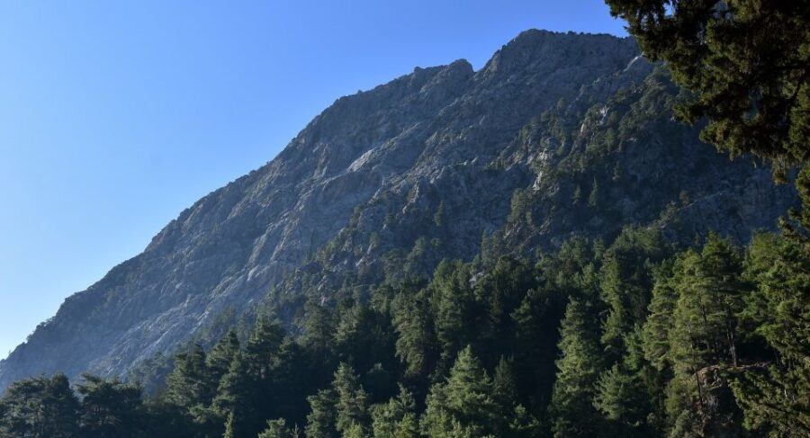 Samariá Gorge Hike: Day Excursion From Chania