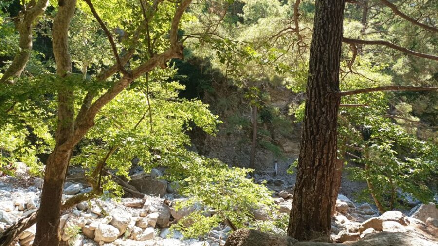 2 Best Private Car With Driver Services In Sfakia