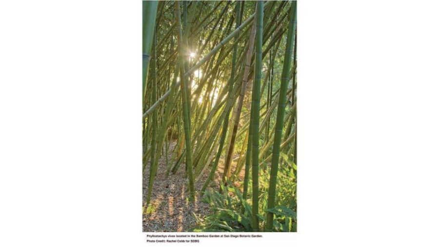 San Diego Botanical Garden Entry Ticket and Transportation - Pricing and Ticketing Options