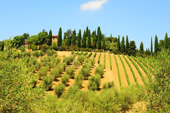 San Gimignano, Siena, Monteriggioni: Fully Escorted Tour, Lunch & Wine Tasting