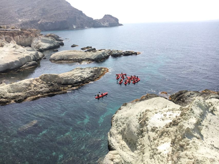 2 Best Tours In San Jose Cabo De Gata