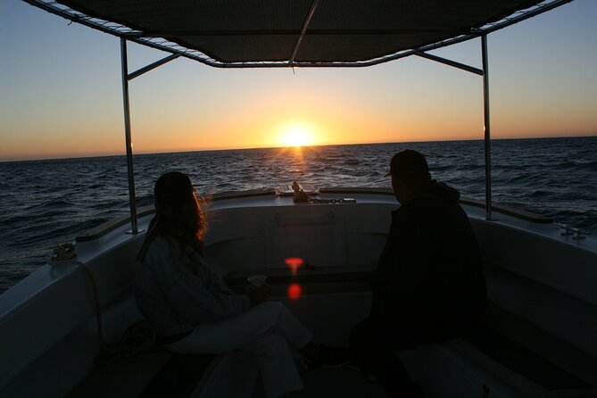 San Jose Del Cabo Small-Group Sunrise Whale Watching - Tour Overview and Experience