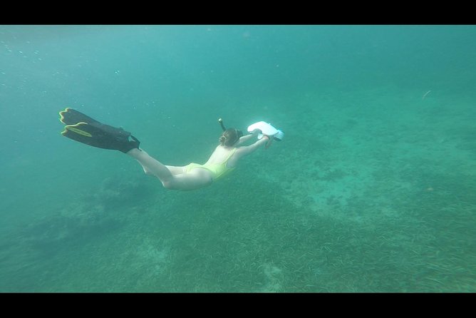 San Juan Turtle Spotting Snorkel Adventure With Videos