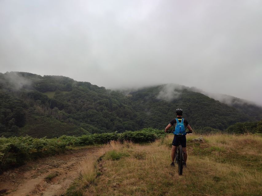 San Sebastian: Mountain Bike Tour With Pintxos and Drink