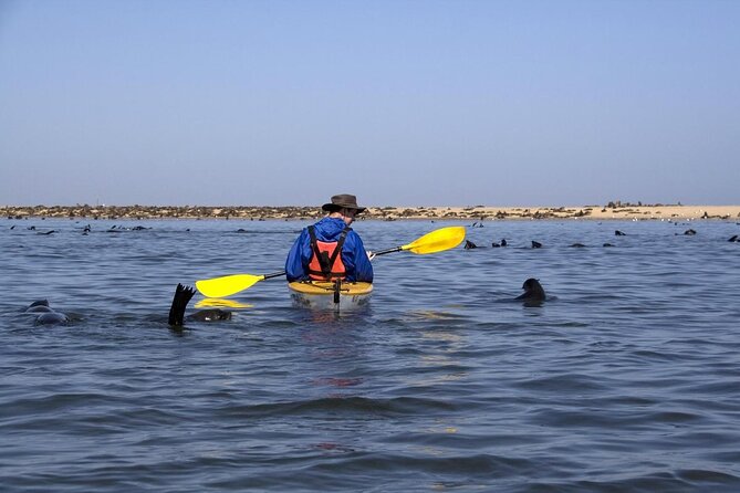 Sandwich Harbour & Pelican Point Full Day Tour