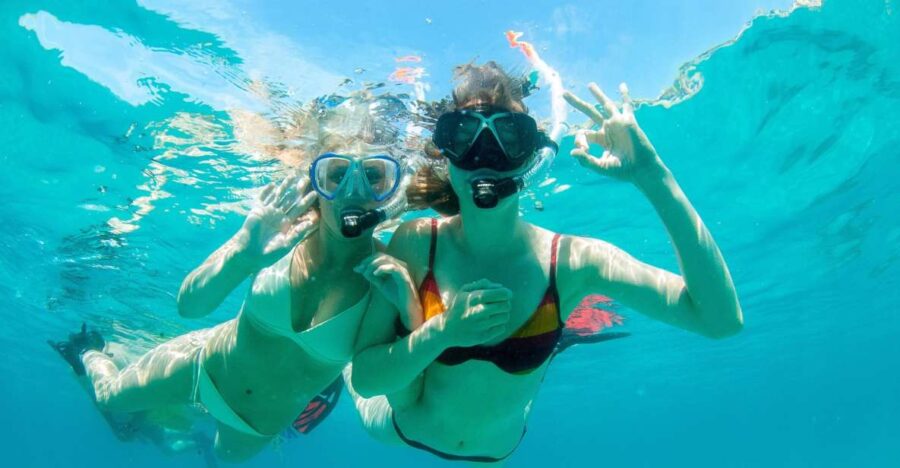 Santa Ponsa: Snorkeling Tour in a Marine Reserve - Activity Overview