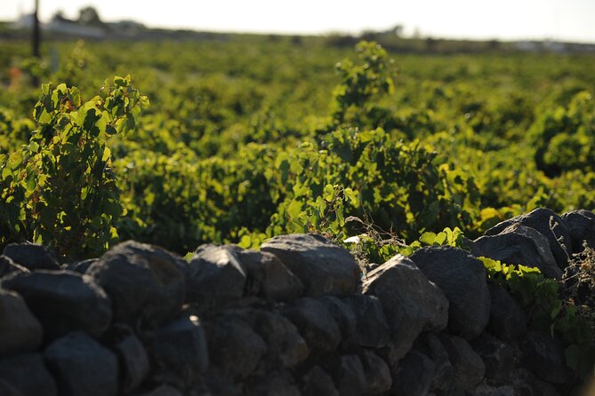 Santorini Private 8 Wine Tastings With Dinner & Oia Sunset - Tour Overview