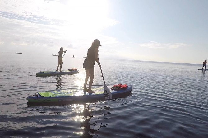 Santorini Stand-Up Paddle and Snorkel Adventure - Meeting and End Points