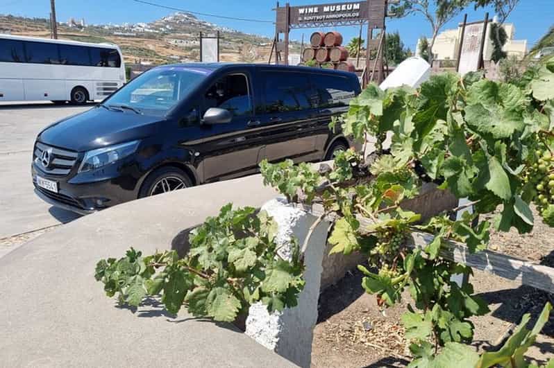 Santorinis Wine Roads: Wine Tasting Tour at 3 Wineries