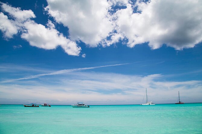 Saona Island Full Day: Natural Pool & Catamaran Cruise With Lunch