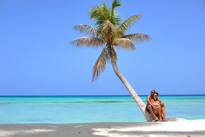 Saona Island Full Day Tour Lunch and Transportation Included
