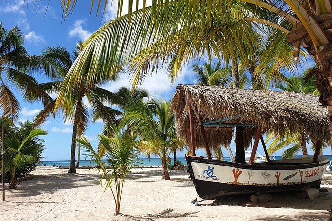 Saona Island Full-Day Tour With Lunch From Punta Cana