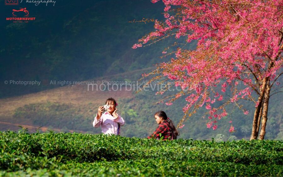 Sapa 2 Days 1 Night – Classic Hikking Tour