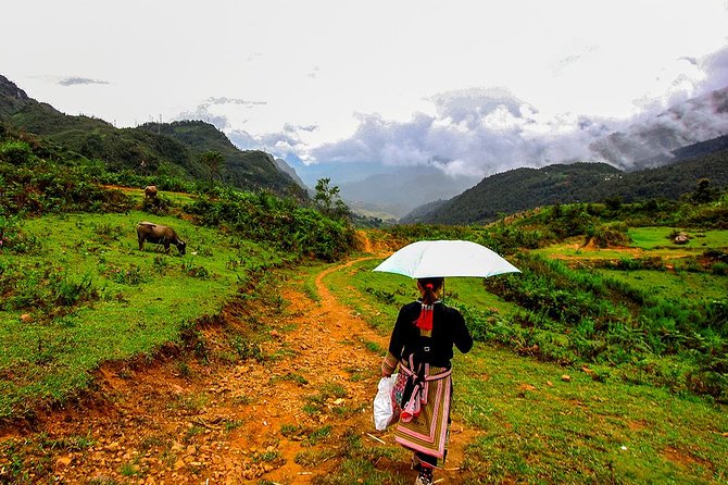 Sapa Easy Trekking Tour 1 Day - Rice Paddies and Cultures