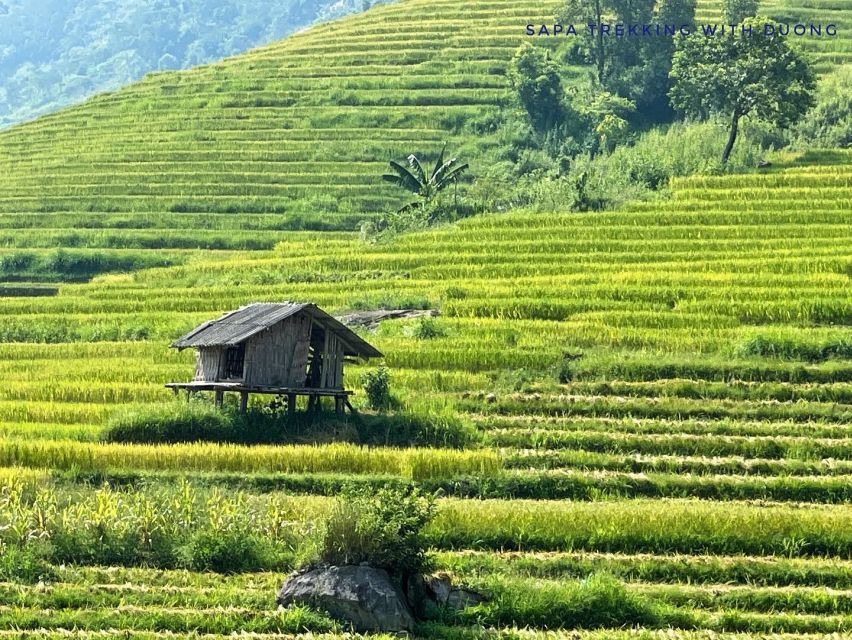 Sapa: Private Muong Hoa Valley and Homestay Trekking 2-Day - Tour Overview