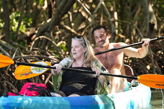 Sarasota Kayak and Food Tour