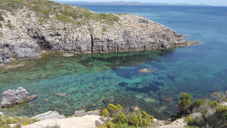 Sardinia: San Pietro Island and Carloforte Tour