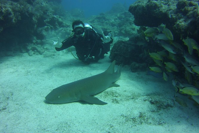 SCUBA Dive Key Largo Reef (Min 6 Divers)
