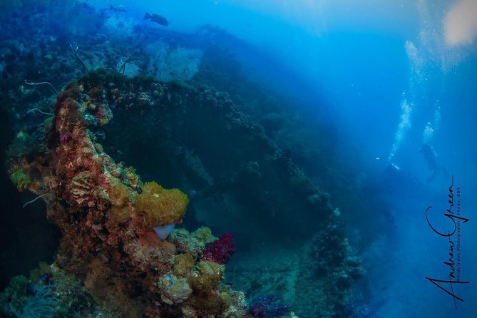 Scuba Dive the S.S. Yongala Wreck on the Great Barrier Reef.