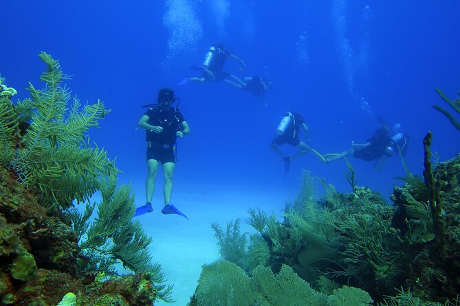 SCUBA Diving Adventure in Mahahual, SCUBA Gear Included