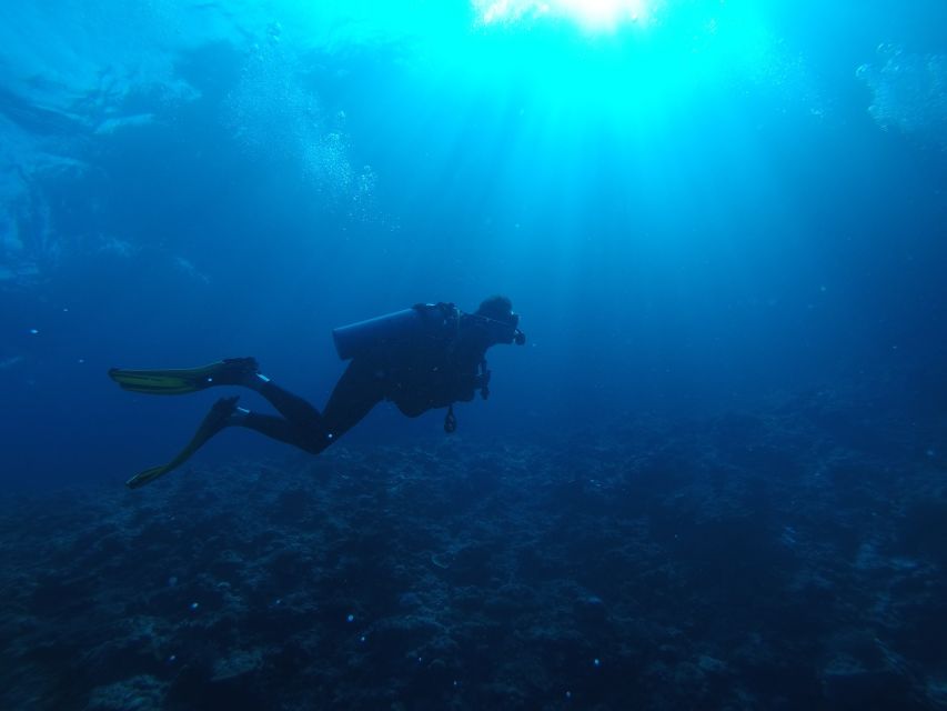 2 Best Scuba Diving Experiences In Kalpitiya