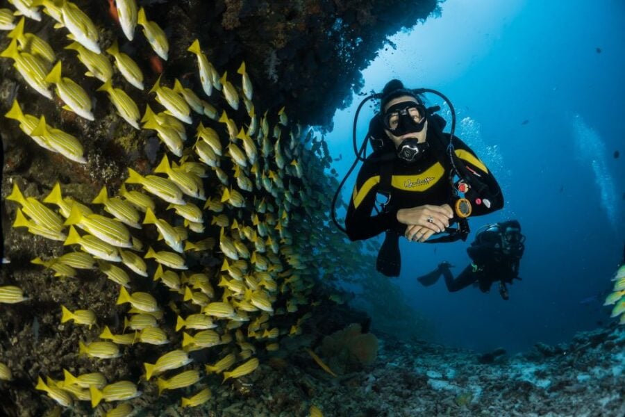 2 Best Scuba Diving Experiences In Mirissa
