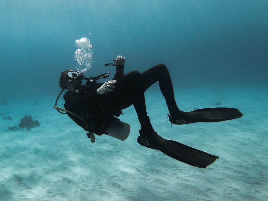Scuba Diving in Trincomalee