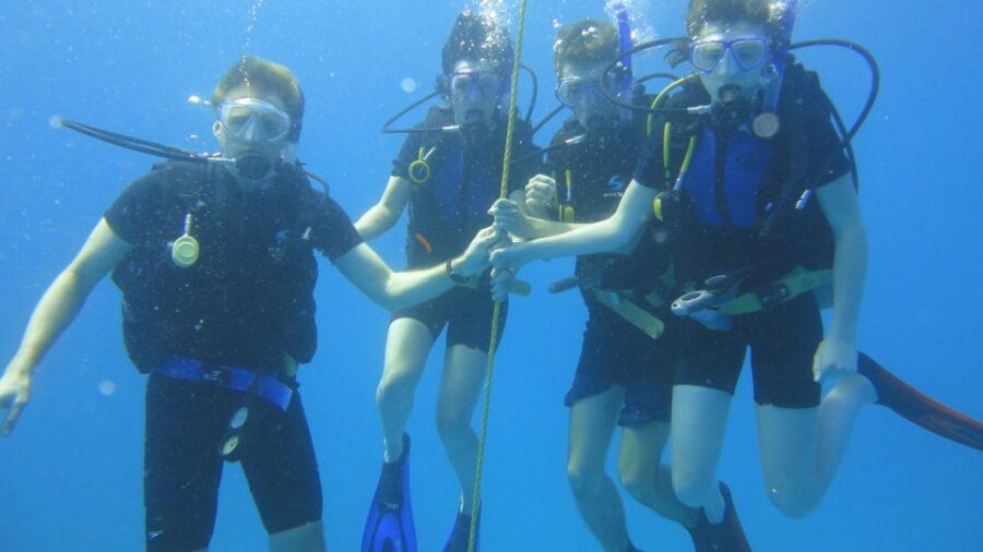 Scuba Diving Tour With Transfer From Alanya and City of Side - Tour Overview and Pricing
