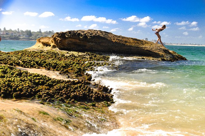 Sea Cliff Bridge, Blowhole, Beaches & Farmlands- Escape the City