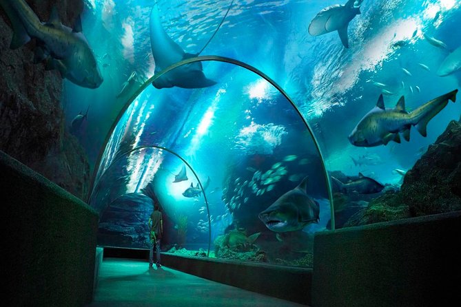Sea Life Bangkok Ocean World Tickets - Overview of the Aquarium
