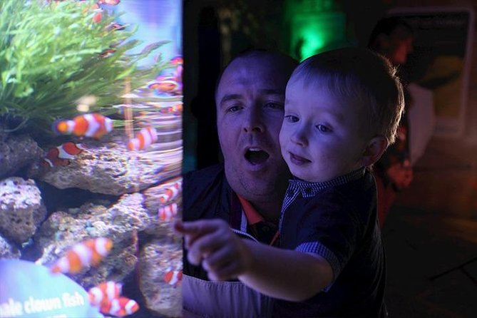SEA LIFE Blackpool Admission Ticket - Discovering Sea Life Creatures
