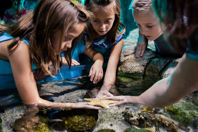 Sea Life Charlotte Concord Aquarium Admission Ticket