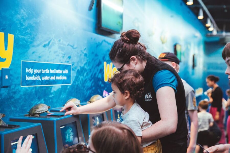 Sea Life Kelly Tarltons Aquarium General Admission