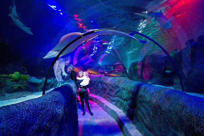 SEA LIFE Loch Lomond General Admission Ticket
