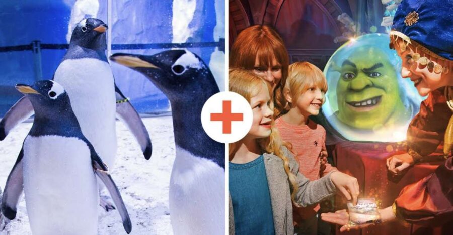 SEA LIFE London & DreamWorks Shreks Adventure: Combo Ticket - Overview of Attractions