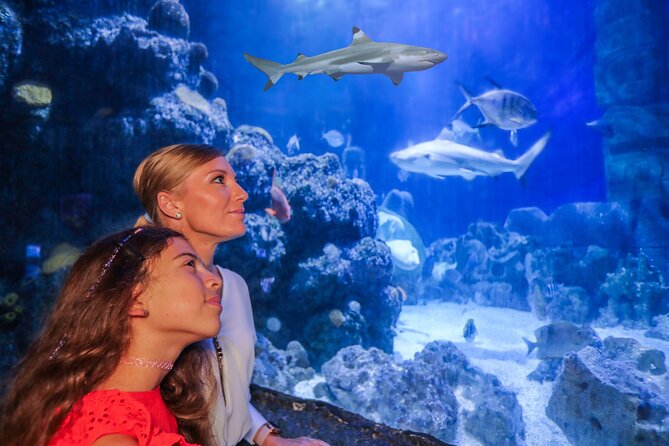 SEA LIFE Munich Admission Ticket - Admission Details