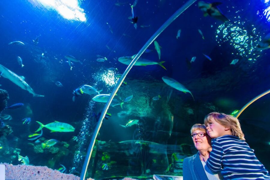 Sea Life Speyer Ticket - Ticket Information and Pricing