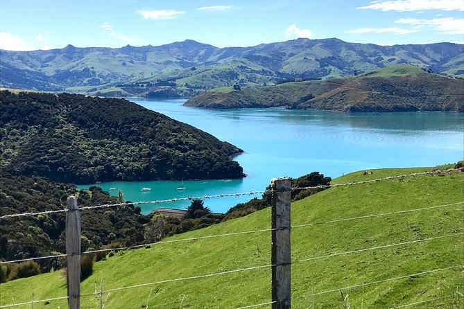 Sea to Summit- Electric Mountain Biking Tour in Akaroa